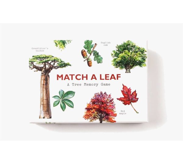 Match a leaf a tree memory game holly exley