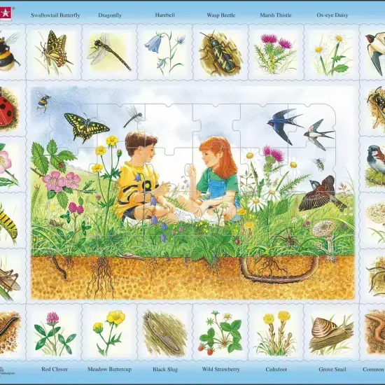 Maxi nature puzzle field English Larsen