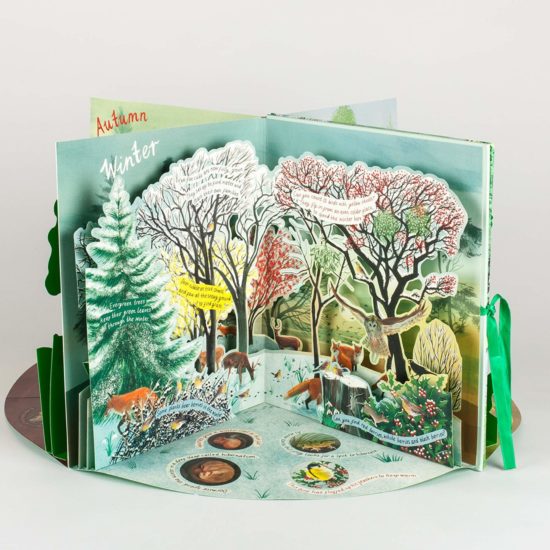 A year in nature a carousel book of the seasons Hazel Maskell