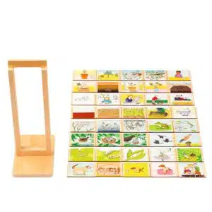 Life cycle educational game Toys for Life