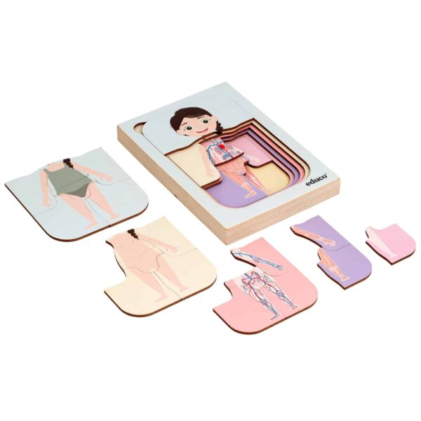 Layer puzzle human body girl Educo