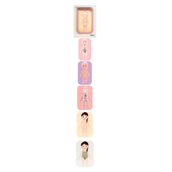 Layer puzzle human body girl Educo