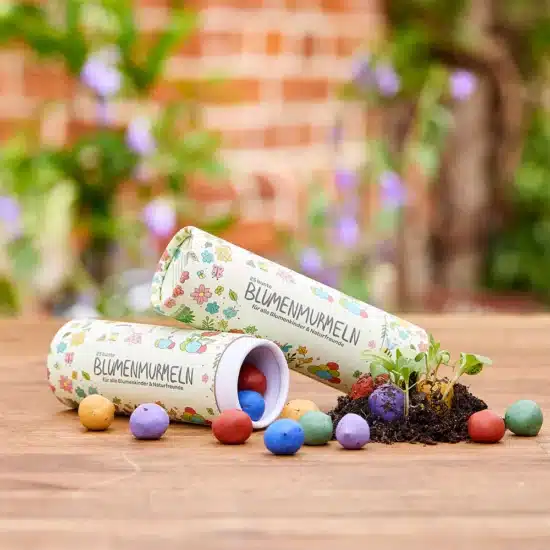 25 colourful organic wildflower seedbombs in tube Die Stadtgärtner