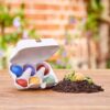 6 colourful organic wildflower seedbombs in egg carton spring easter Die Stadtgärtner