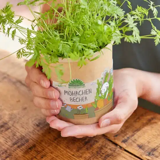 Grow organic carrots set from a cup Die Stadtgärtner