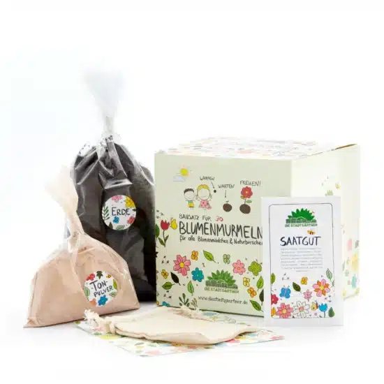 Make your own organic wildflower seedbombs kit Die Stadtgärtner