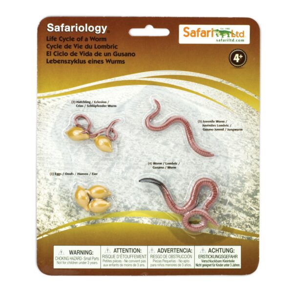 Life cycle of a worm figurines set Safari Ltd