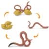Life cycle of a worm figurines set Safari Ltd montessori learning toy