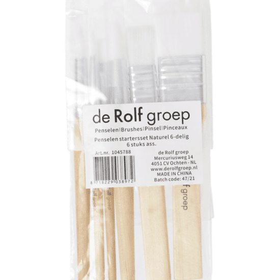 Brushes starter set natural wood 6 pcs. Rolf