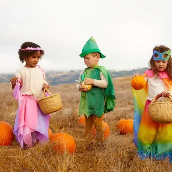 Autumn pumpkin patch sarah's silks waldorf toys dress-ups