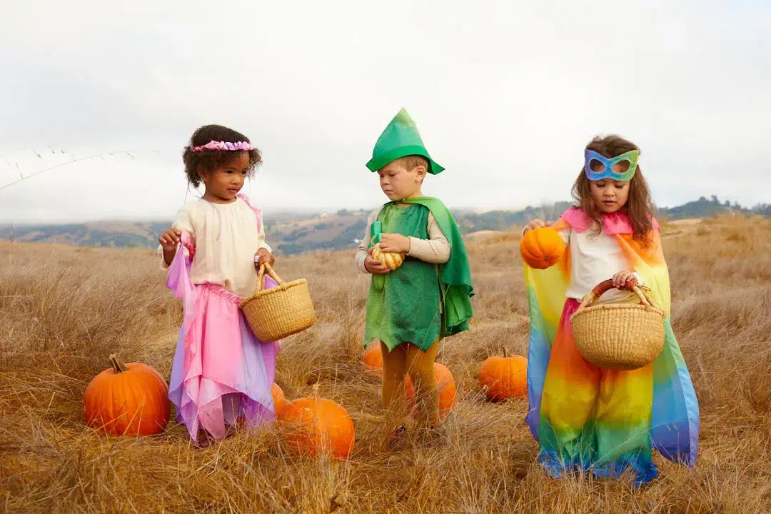 Autumn pumpkin patch sarah's silks waldorf toys dress-ups