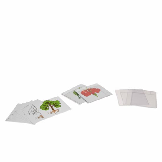 First set of botany cards - Nienhuis Montessori