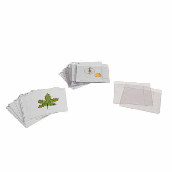 Third set of botany cards - Nienhuis Montessori