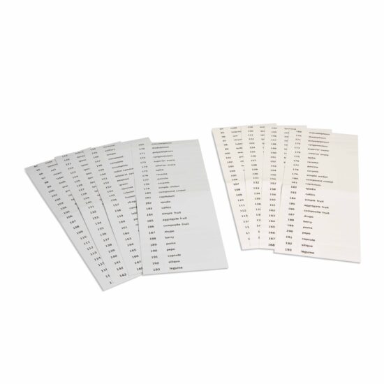 Name cards for the third set of botany cards (English / German) - Nienhuis Montessori