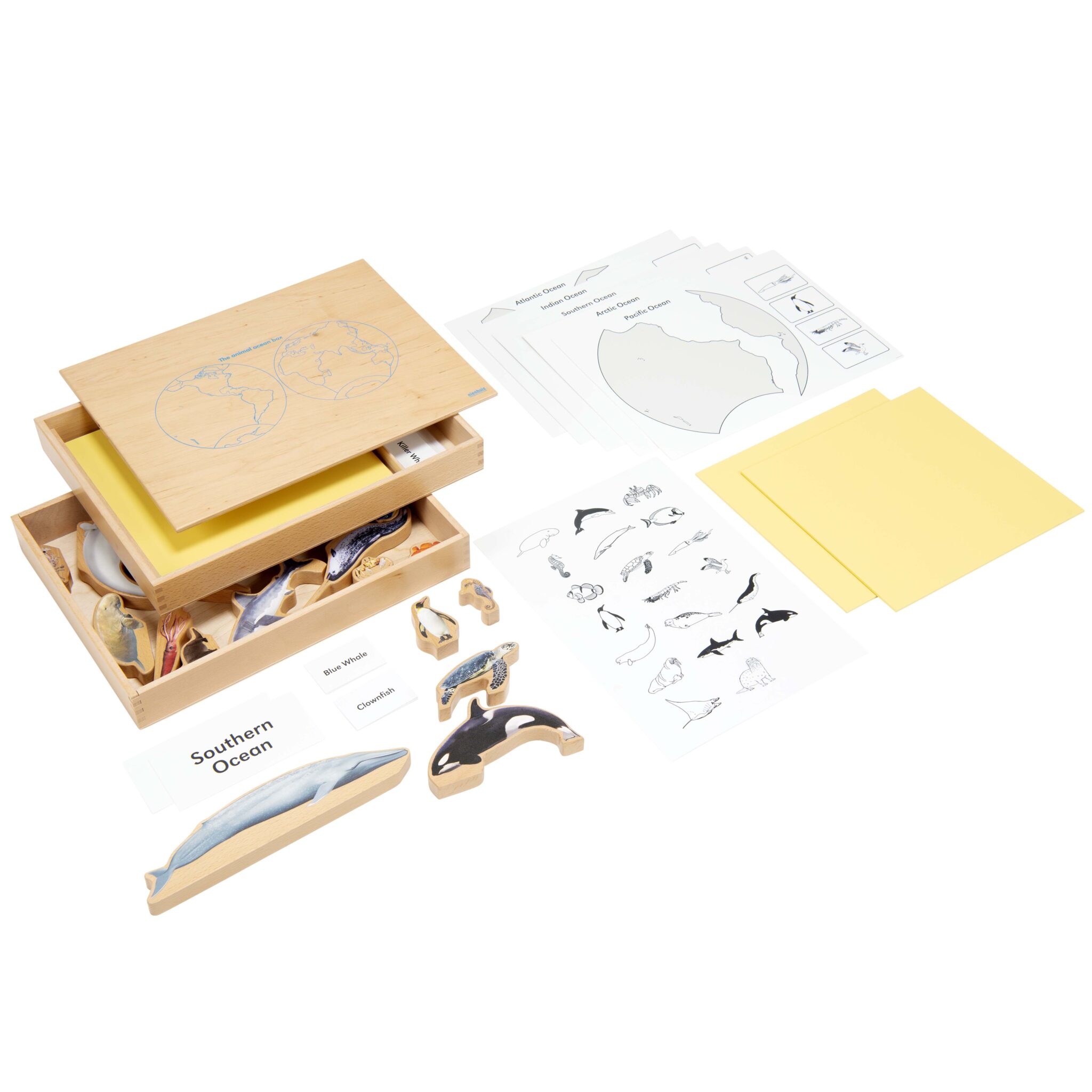 The animal ocean box - Nienhuis Montessori