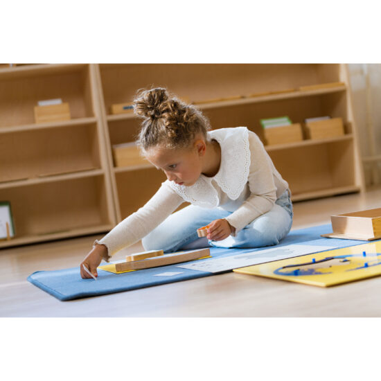 The animal ocean box - Nienhuis Montessori