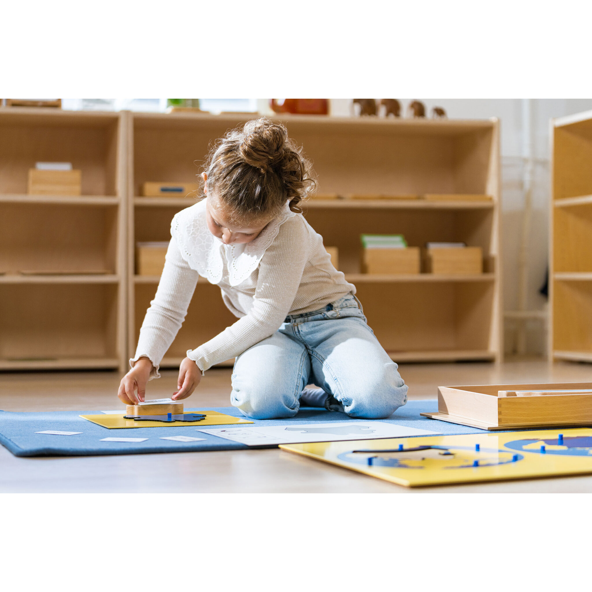 The animal ocean box - Nienhuis Montessori